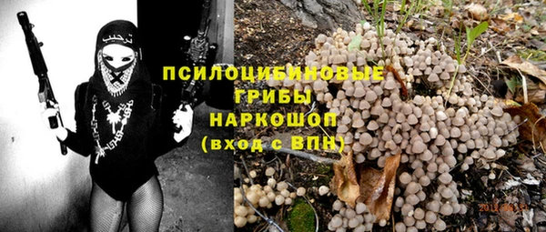 бошки Абаза
